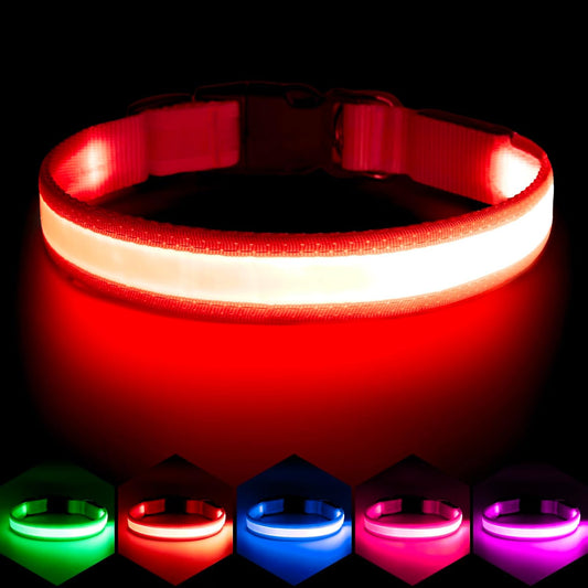 Collar LED recargable para perros