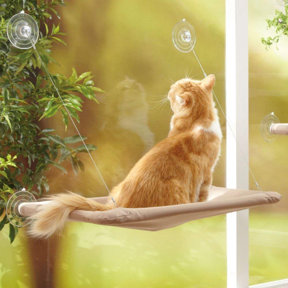 Hamaca para Gato de Ventana con Ventosas