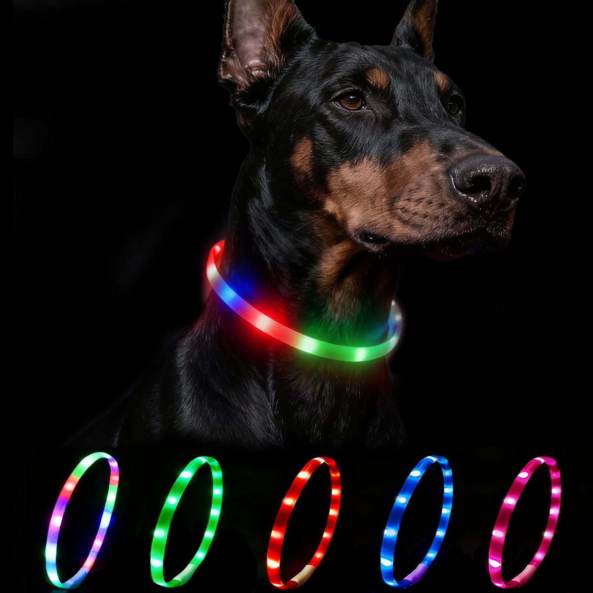 Collar Luminoso LED Recargable para Perros