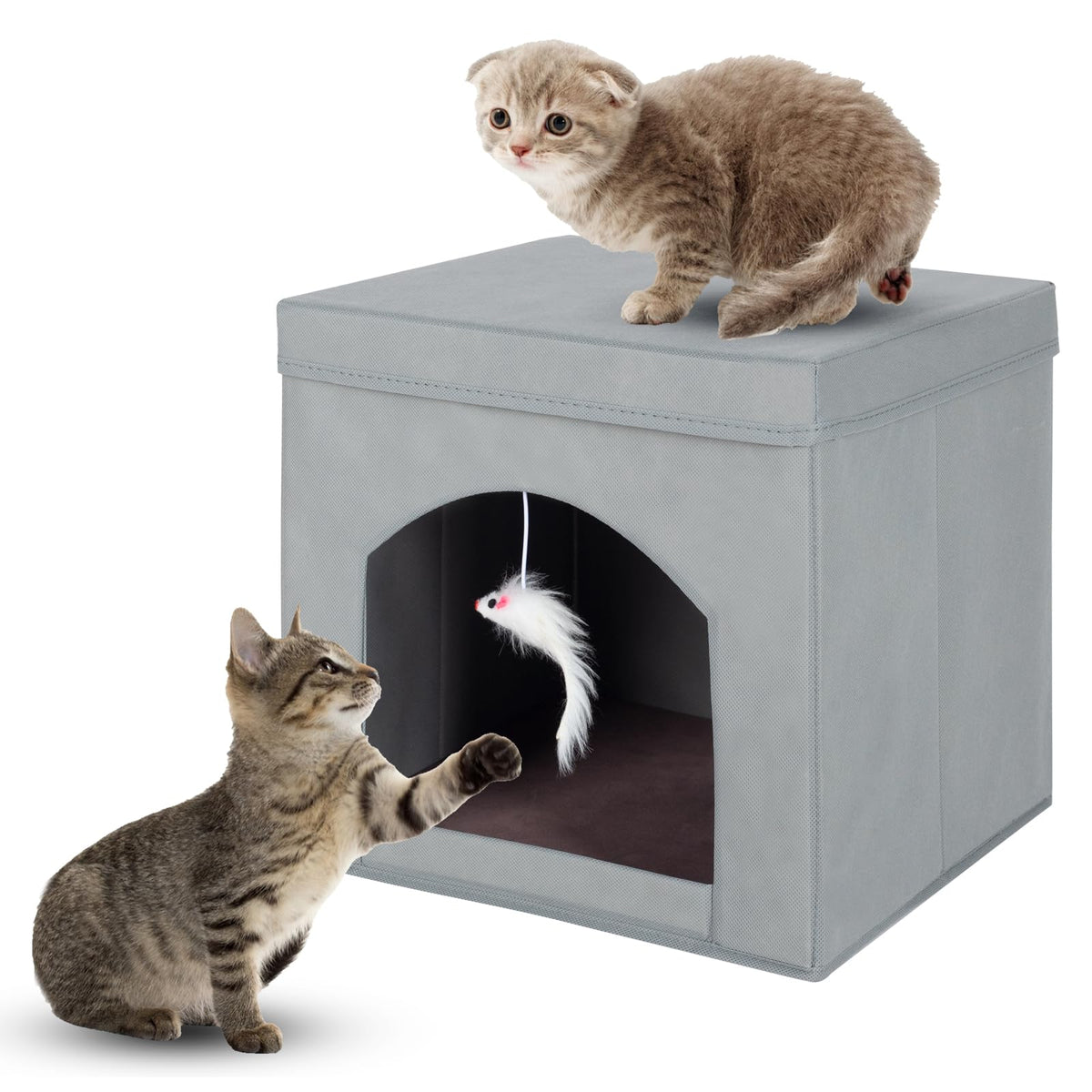 Casa Plegable Cubo para Gatos