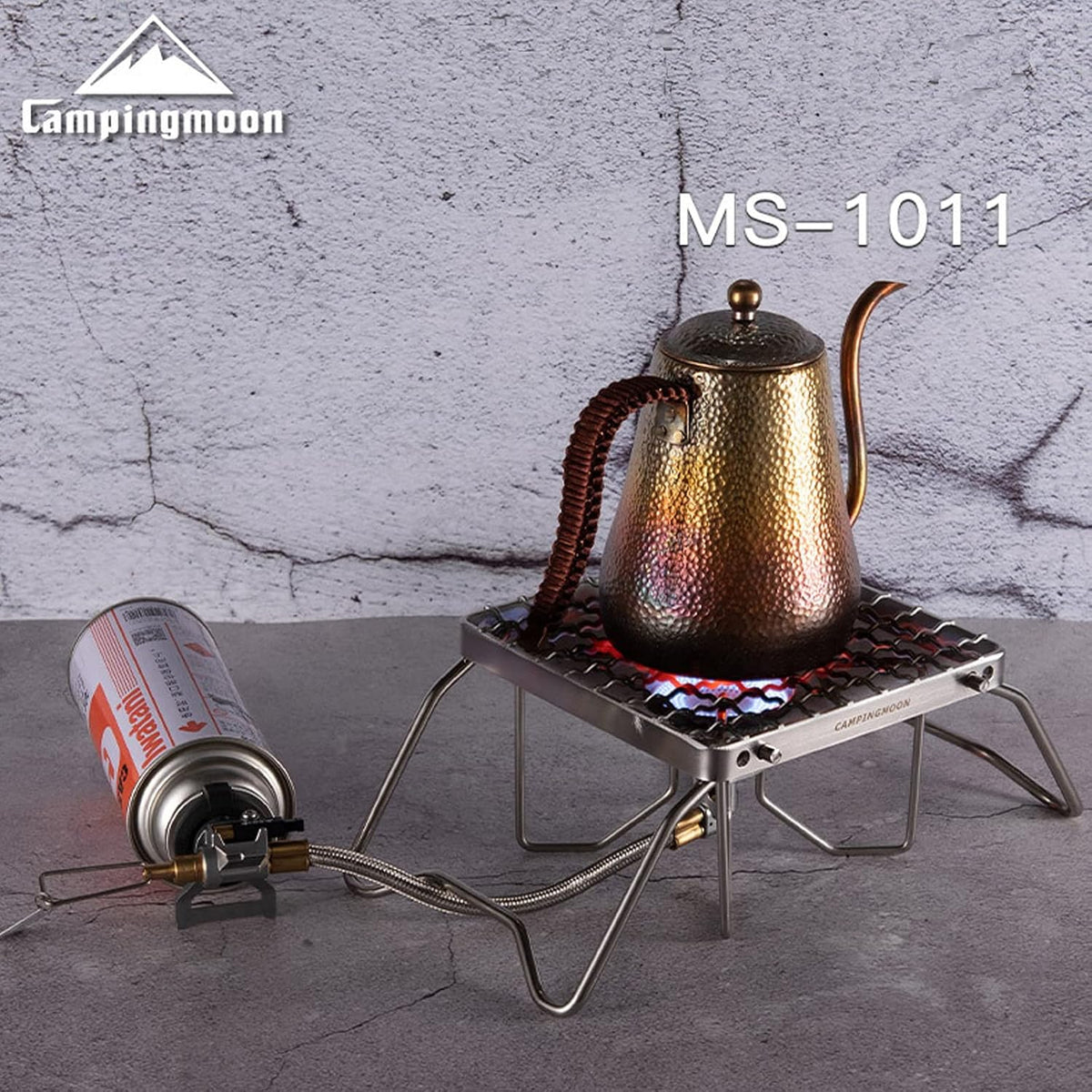 Parrilla plegable con bolsa de transporte