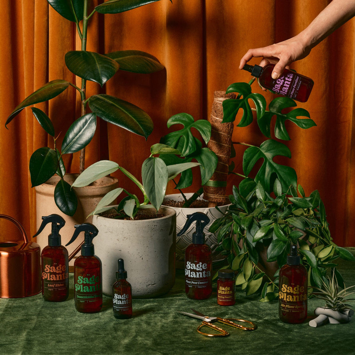 Rociador Organico Natural para Plagas de Plantas