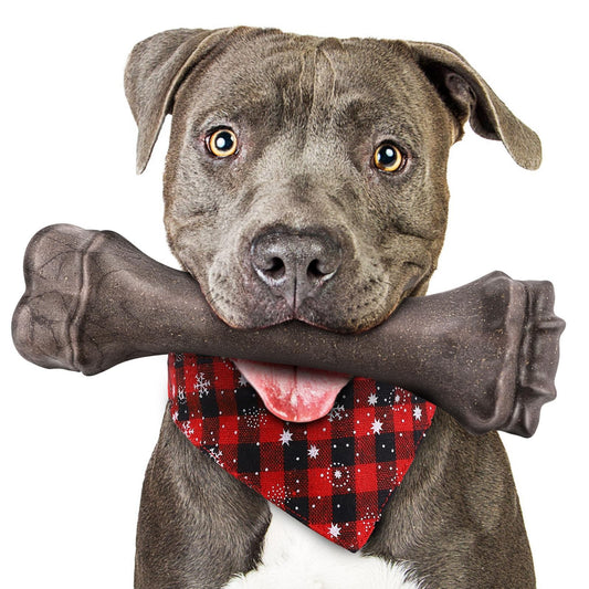 Juguete de Hueso Indestructible para Perros Masticadores
